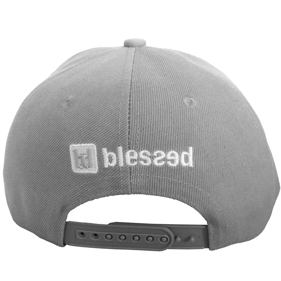 Team Snapback Cap Grey